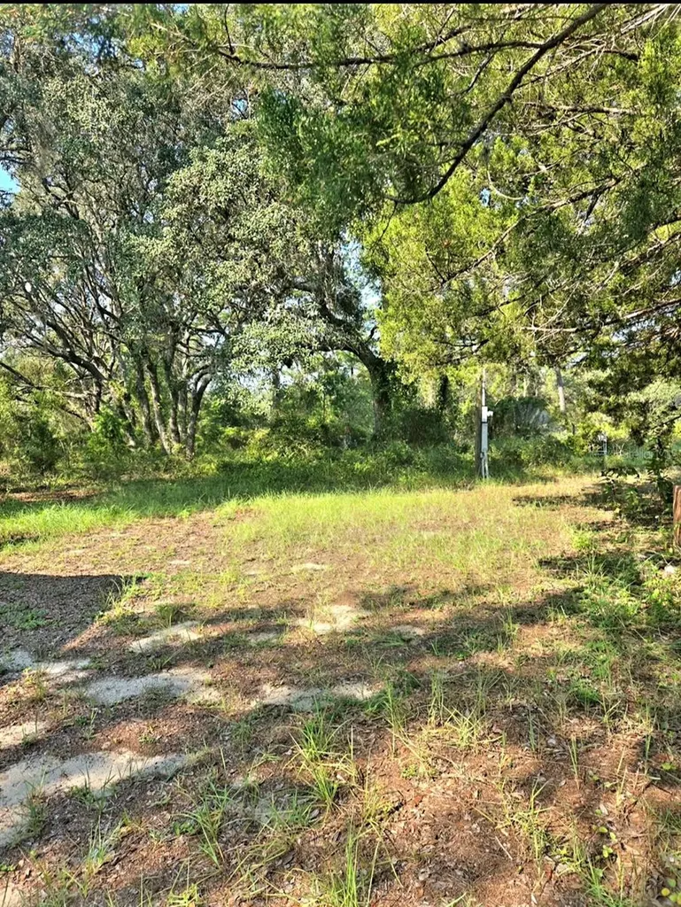 12070 NE 63rd Place Williston FL 32696