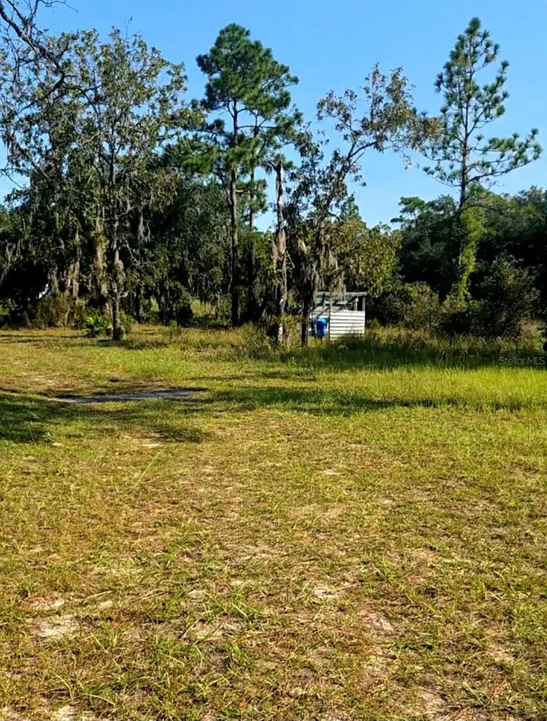 12070 NE 63rd Place Williston FL 32696