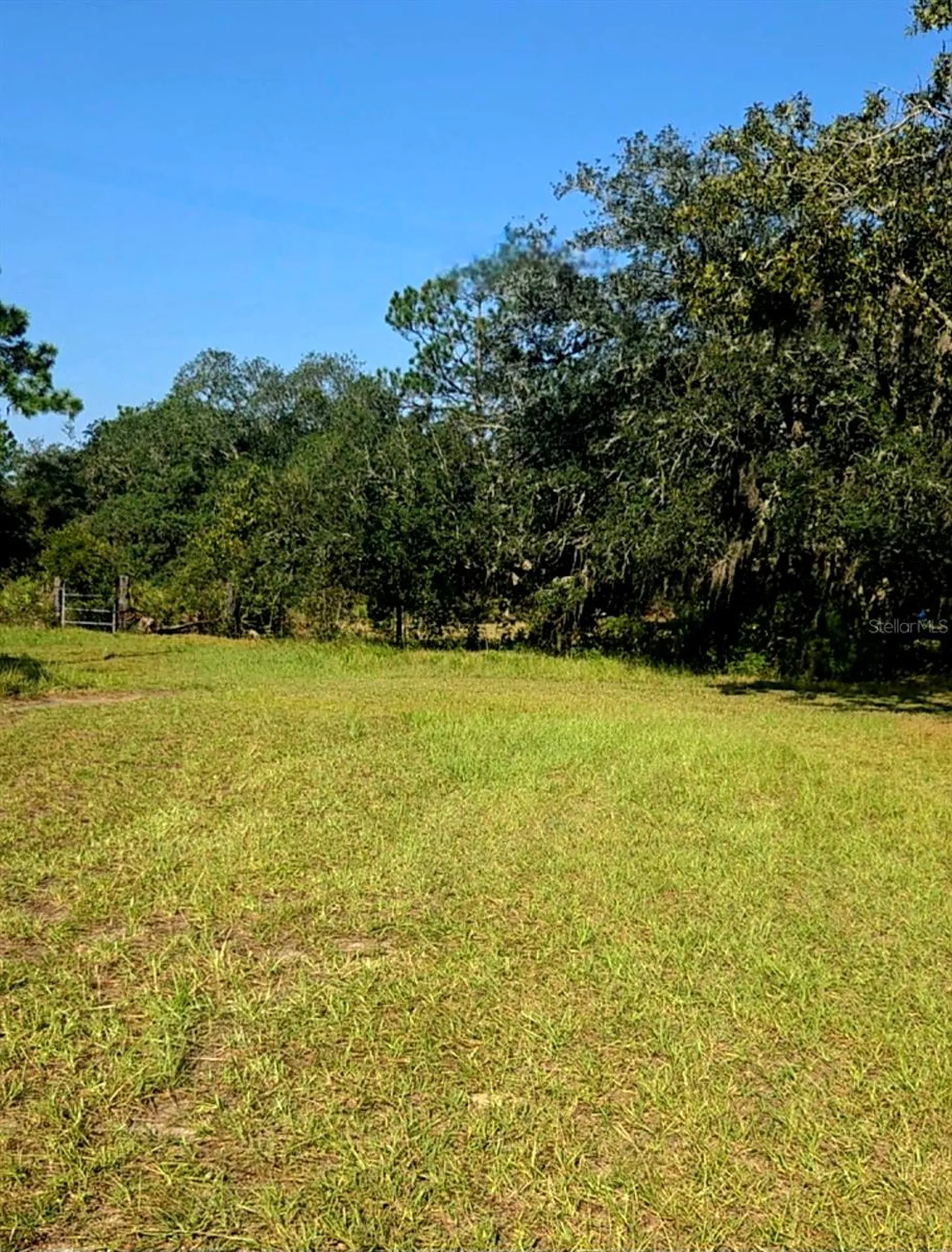 12070 NE 63rd Place Williston FL 32696