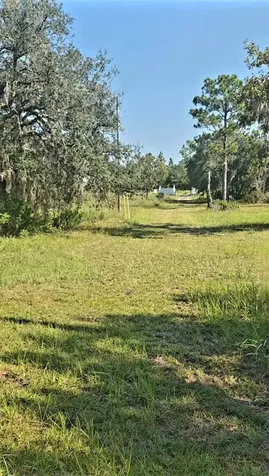 12070 NE 63rd Place Williston FL 32696