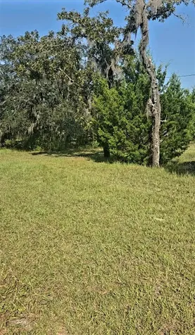 12070 NE 63rd Place Williston FL 32696