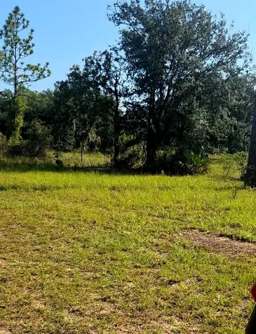12070 NE 63rd Place Williston FL 32696