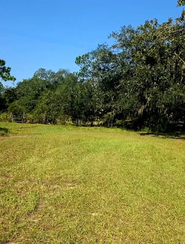 12070 NE 63rd Place Williston FL 32696