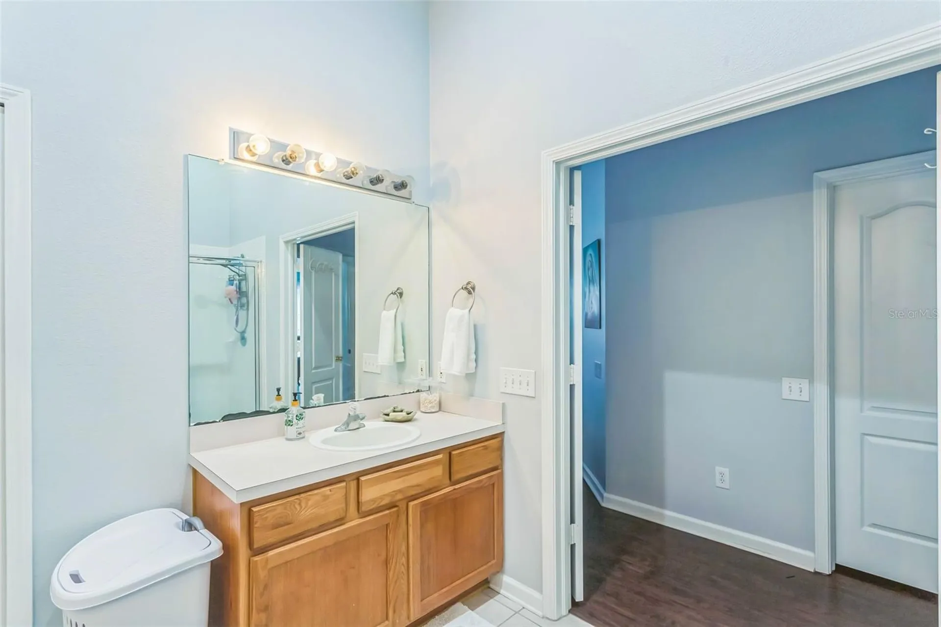 11519 Misty Isle Lane Riverview FL 33579