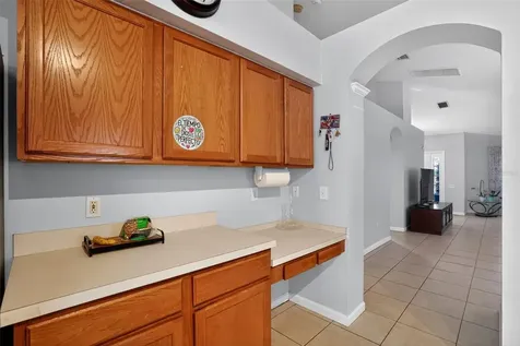 11519 Misty Isle Lane Riverview FL 33579