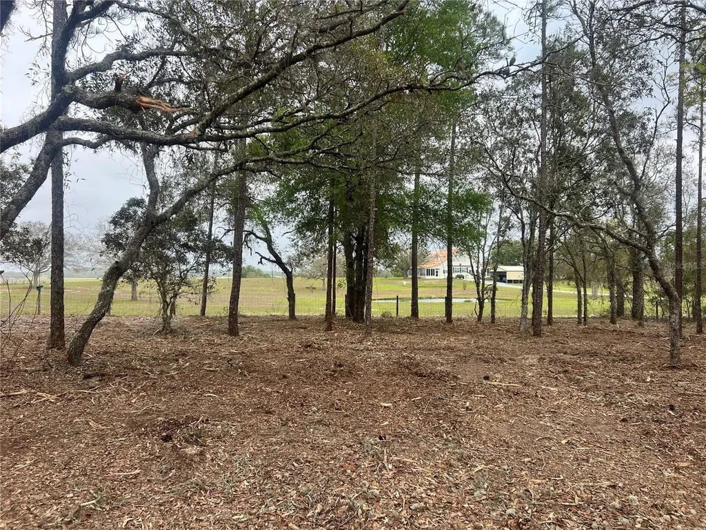 Lot 25 SW Timberlake Road Dunnellon FL 34431