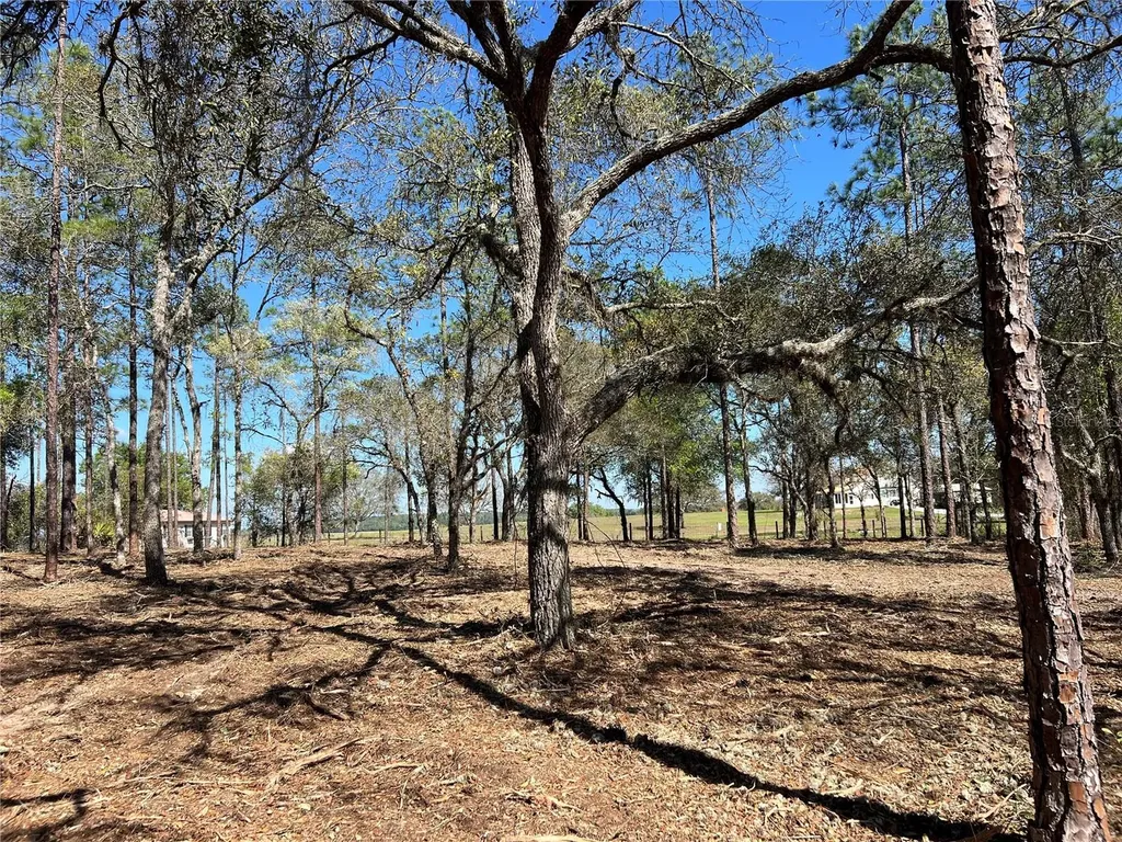 Lot 25 SW Timberlake Road Dunnellon FL 34431
