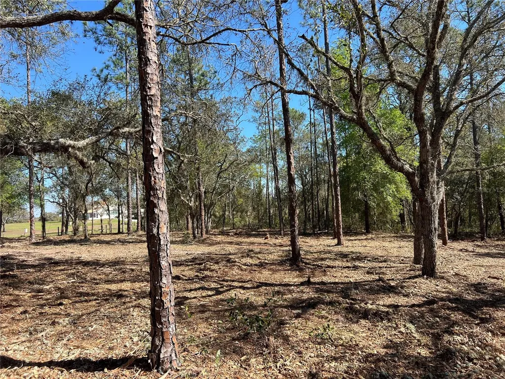 Lot 25 SW Timberlake Road Dunnellon FL 34431