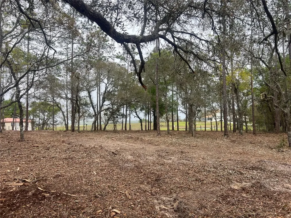 Lot 25 SW Timberlake Road Dunnellon FL 34431