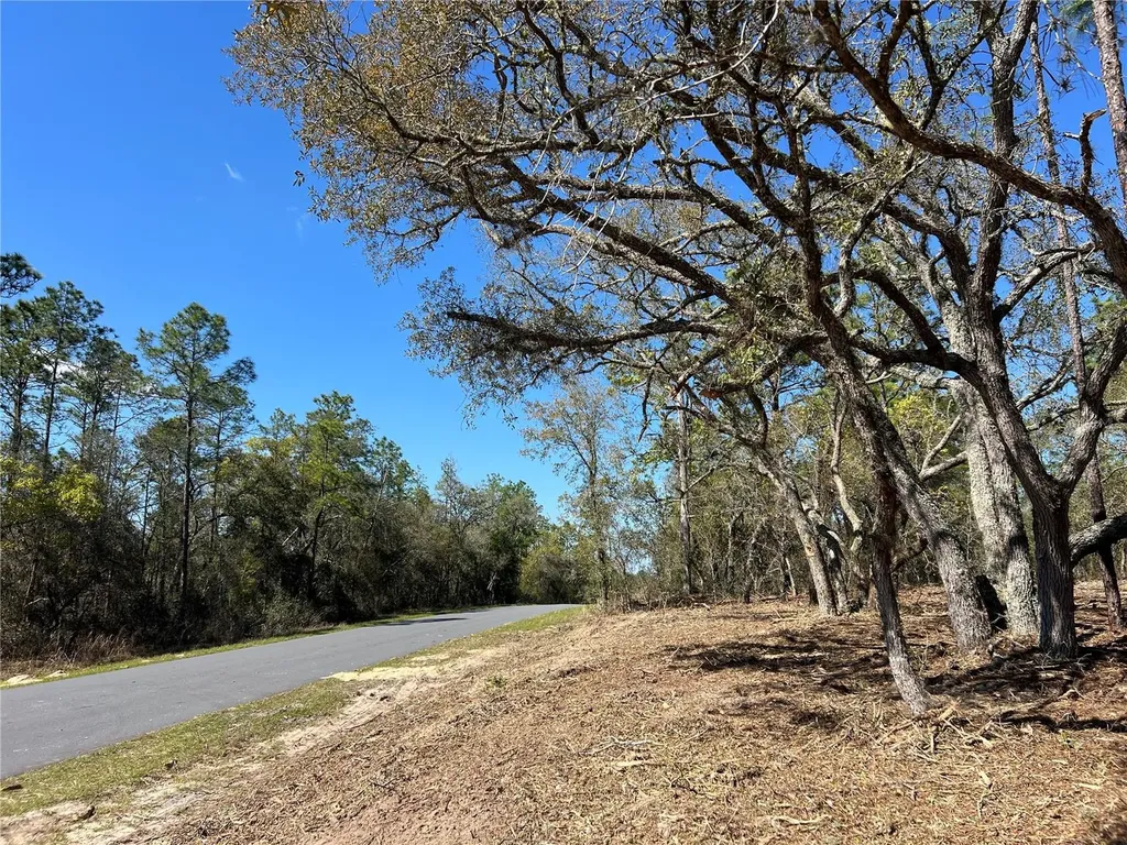 Lot 25 SW Timberlake Road Dunnellon FL 34431
