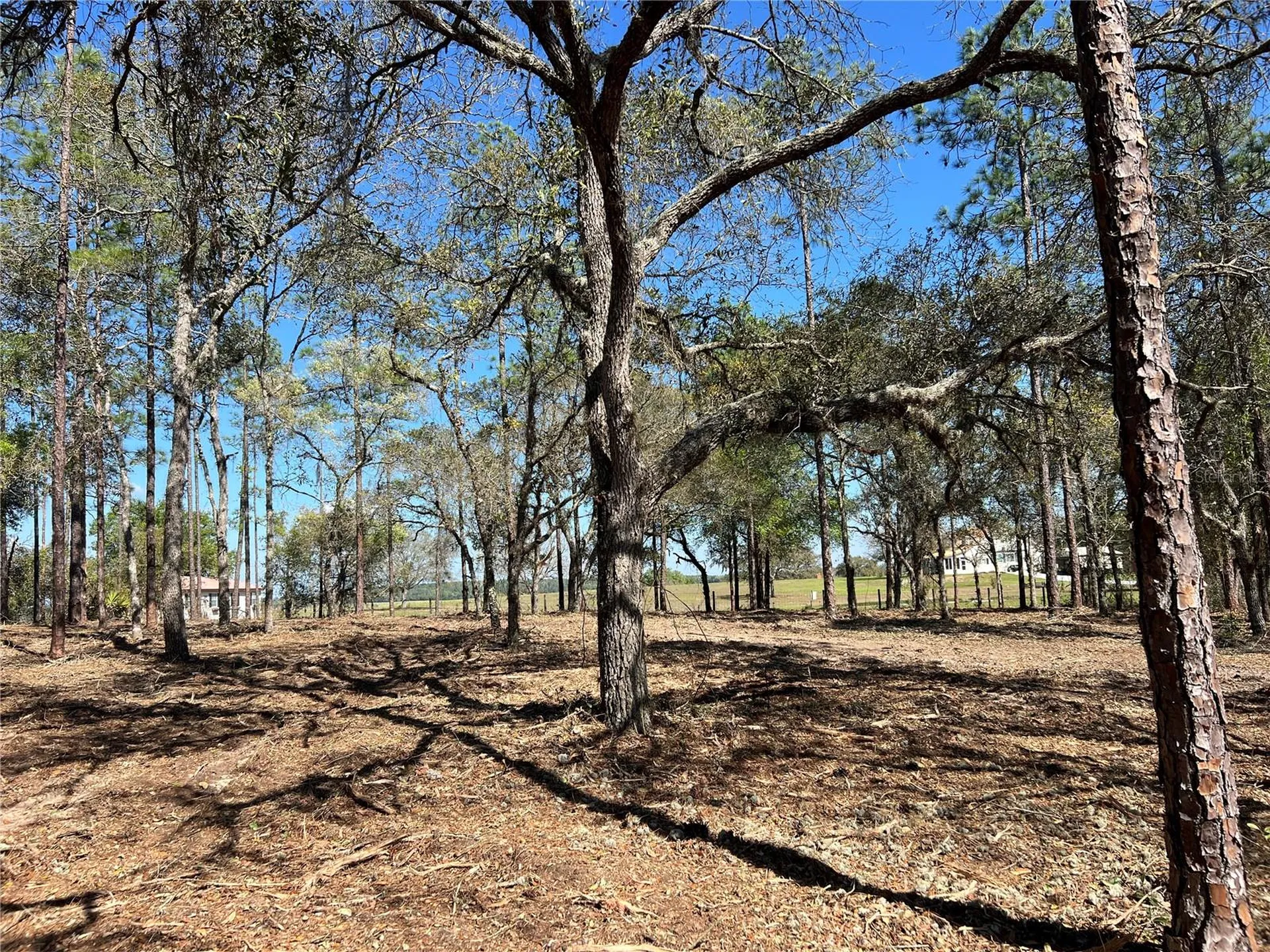 Lot 25 SW Timberlake Road Dunnellon FL 34431
