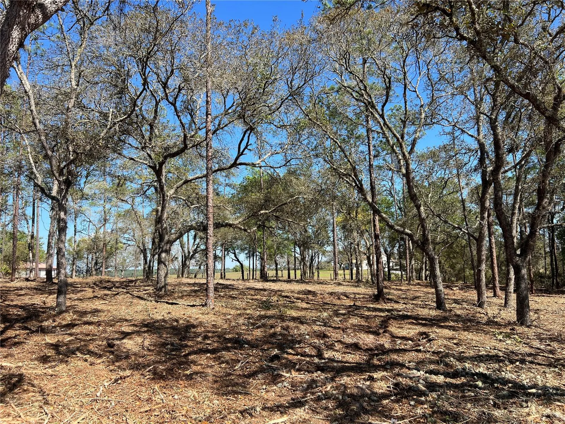 Lot 25 SW Timberlake Road Dunnellon FL 34431