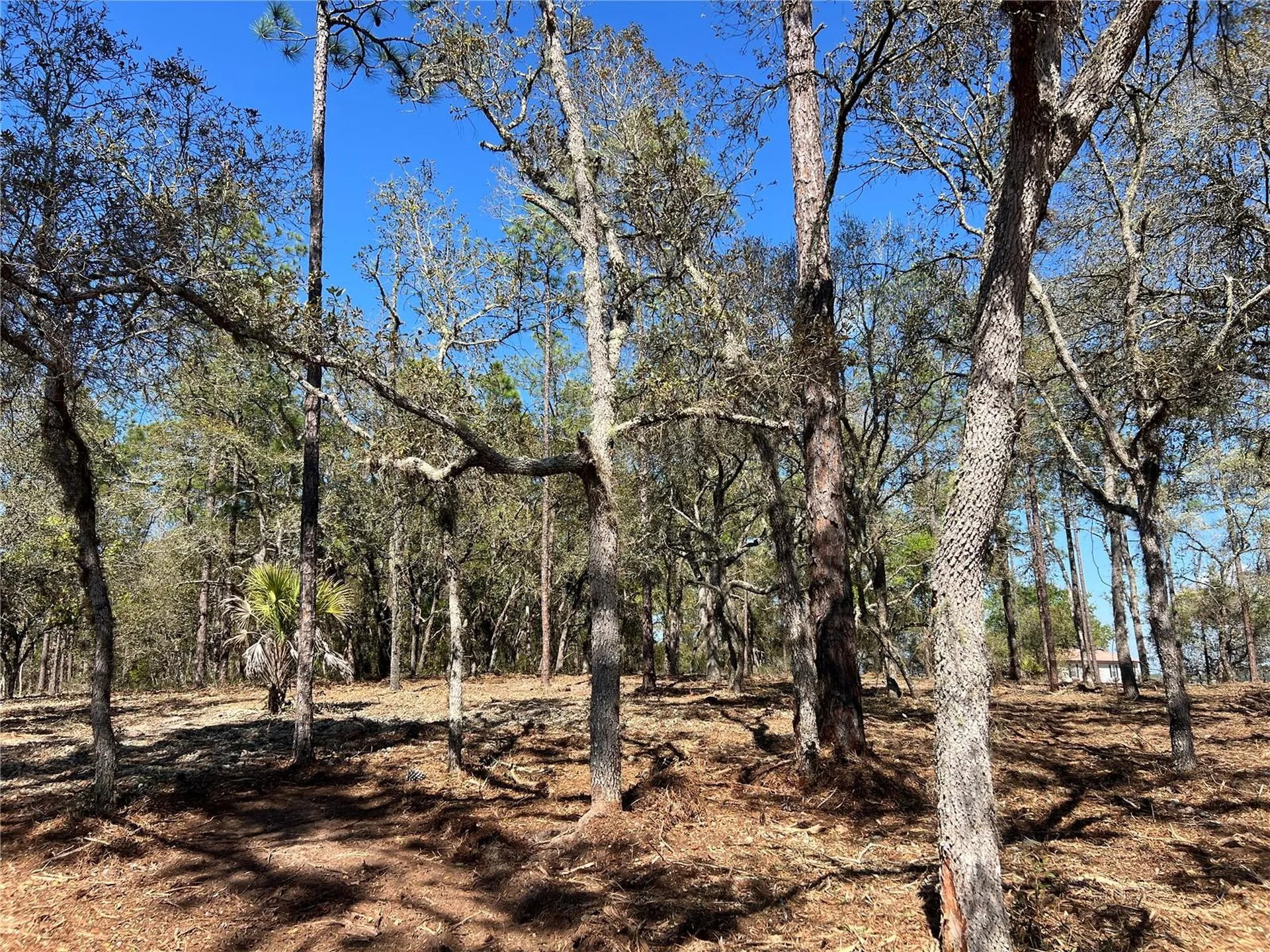 Lot 25 SW Timberlake Road Dunnellon FL 34431