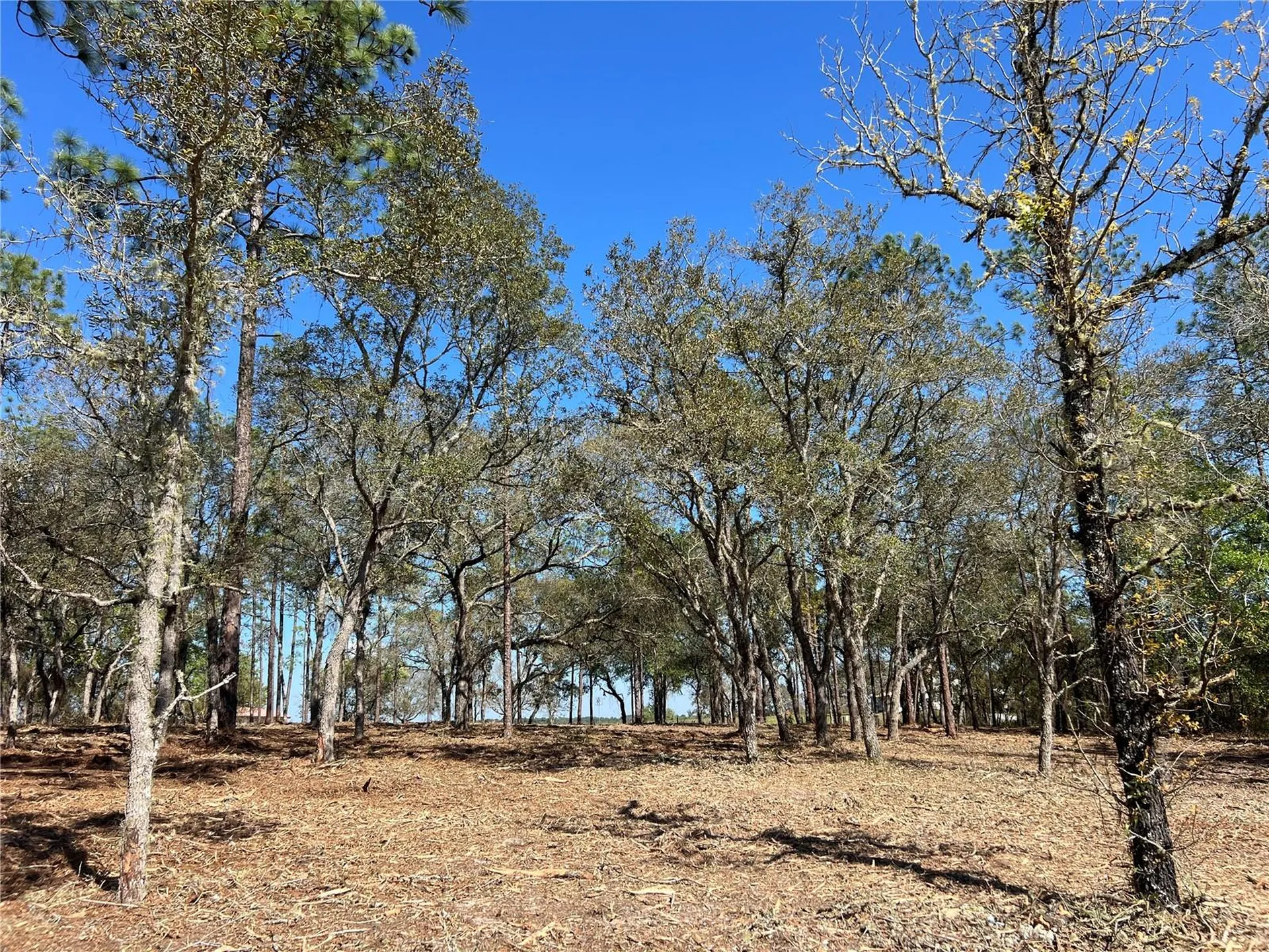 Lot 25 SW Timberlake Road Dunnellon FL 34431
