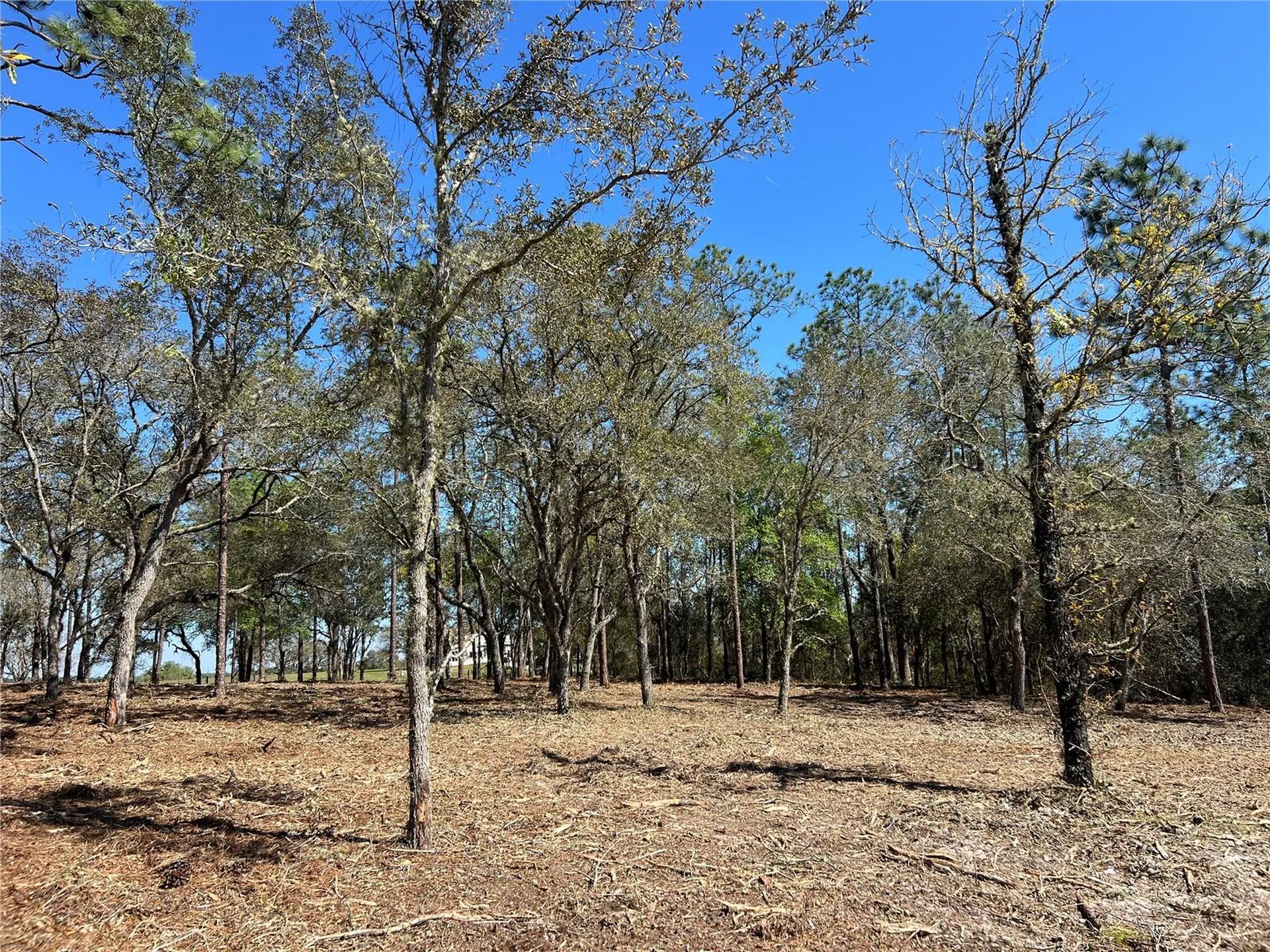 Lot 25 SW Timberlake Road Dunnellon FL 34431