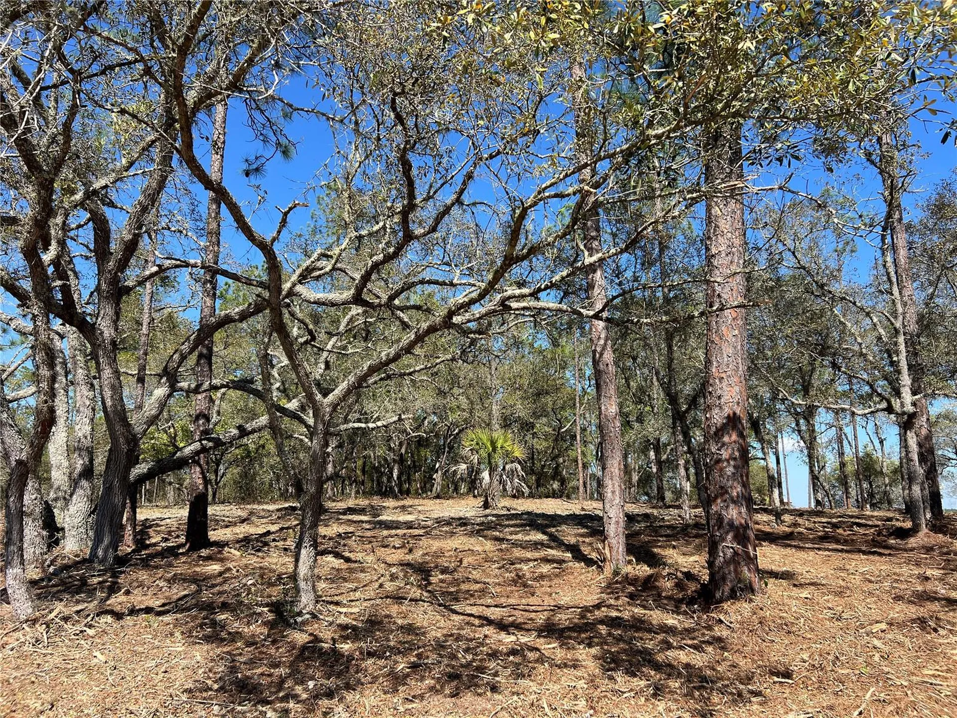 Lot 25 SW Timberlake Road Dunnellon FL 34431
