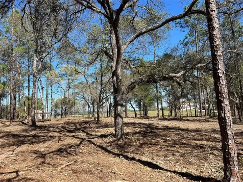Lot 25 SW Timberlake Road Dunnellon FL 34431