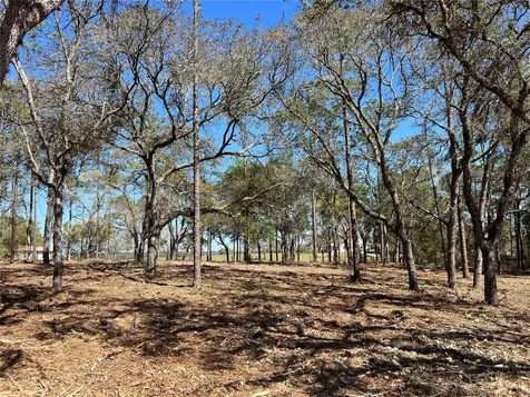 Lot 25 SW Timberlake Road Dunnellon FL 34431