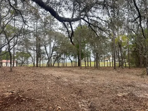 Lot 25 SW Timberlake Road Dunnellon FL 34431