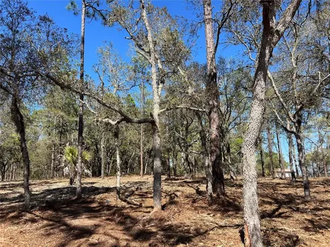 Lot 25 SW Timberlake Road Dunnellon FL 34431