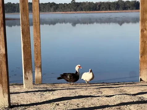 Lot 25 SW Timberlake Road Dunnellon FL 34431