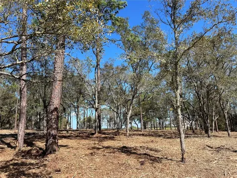 Lot 25 SW Timberlake Road Dunnellon FL 34431