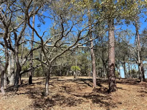 Lot 25 SW Timberlake Road Dunnellon FL 34431