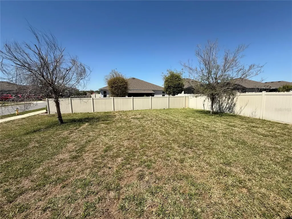 1501 Finchburg Street Minneola FL 34715