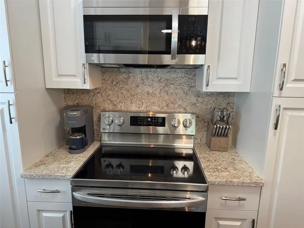 1009 Sumner Boulevard Safety Harbor FL 34695