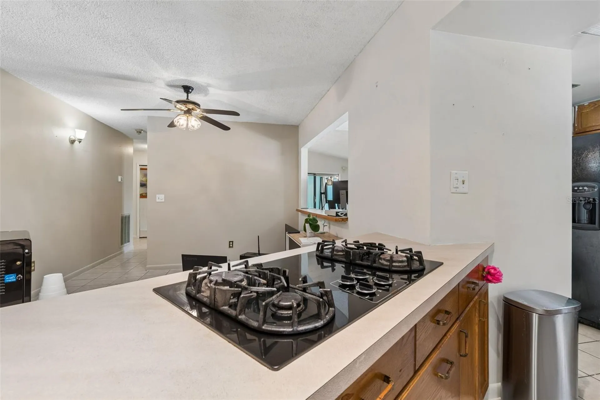 9004 Hogans Bend Tampa FL 33647