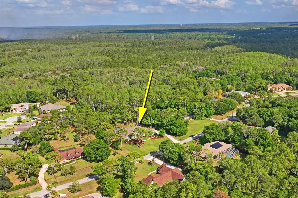 10801 Alico Pass New Port Richey FL 34655