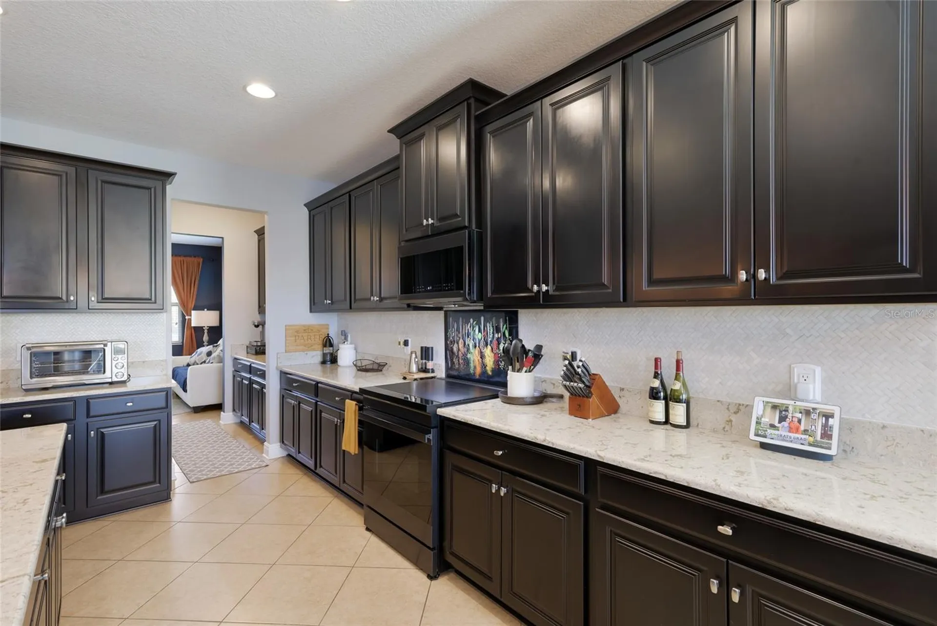 11435 Leland Groves Drive Riverview FL 33579