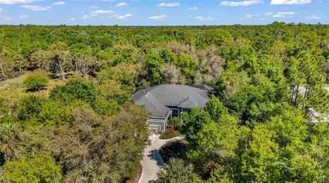 11899 SW Darcy Drive Lake Suzy FL 34269