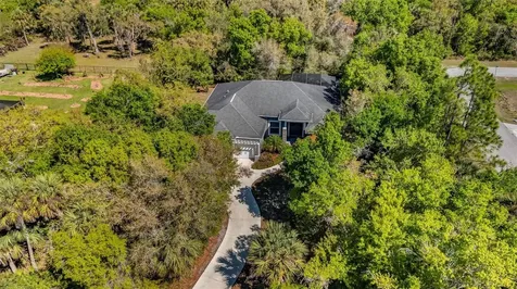 11899 SW Darcy Drive Lake Suzy FL 34269