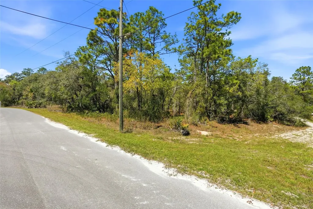 11155 Marsh Wren Avenue Weeki Wachee FL 34614