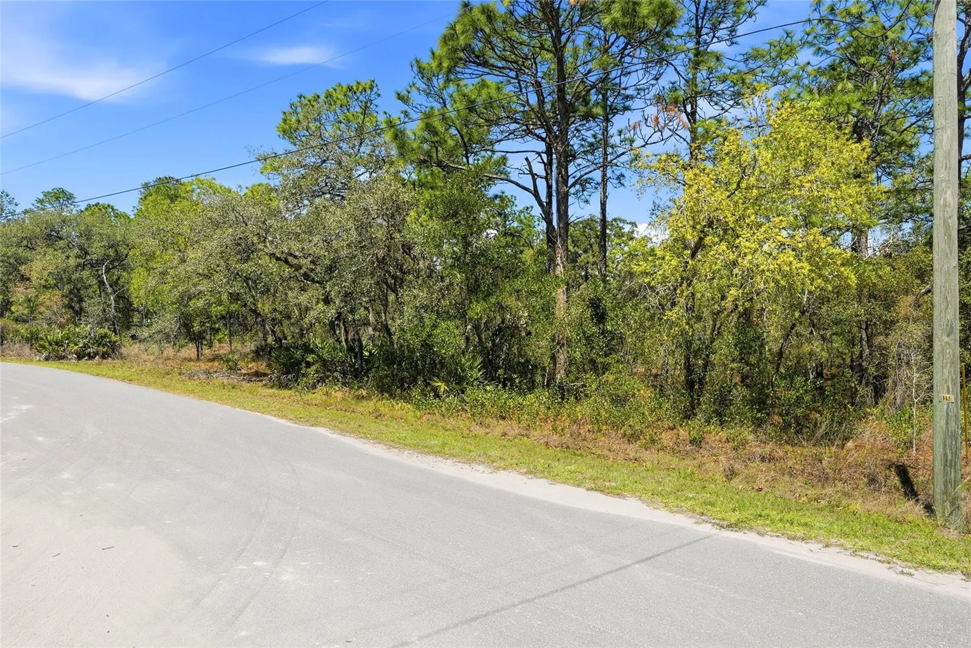 11155 Marsh Wren Avenue Weeki Wachee FL 34614