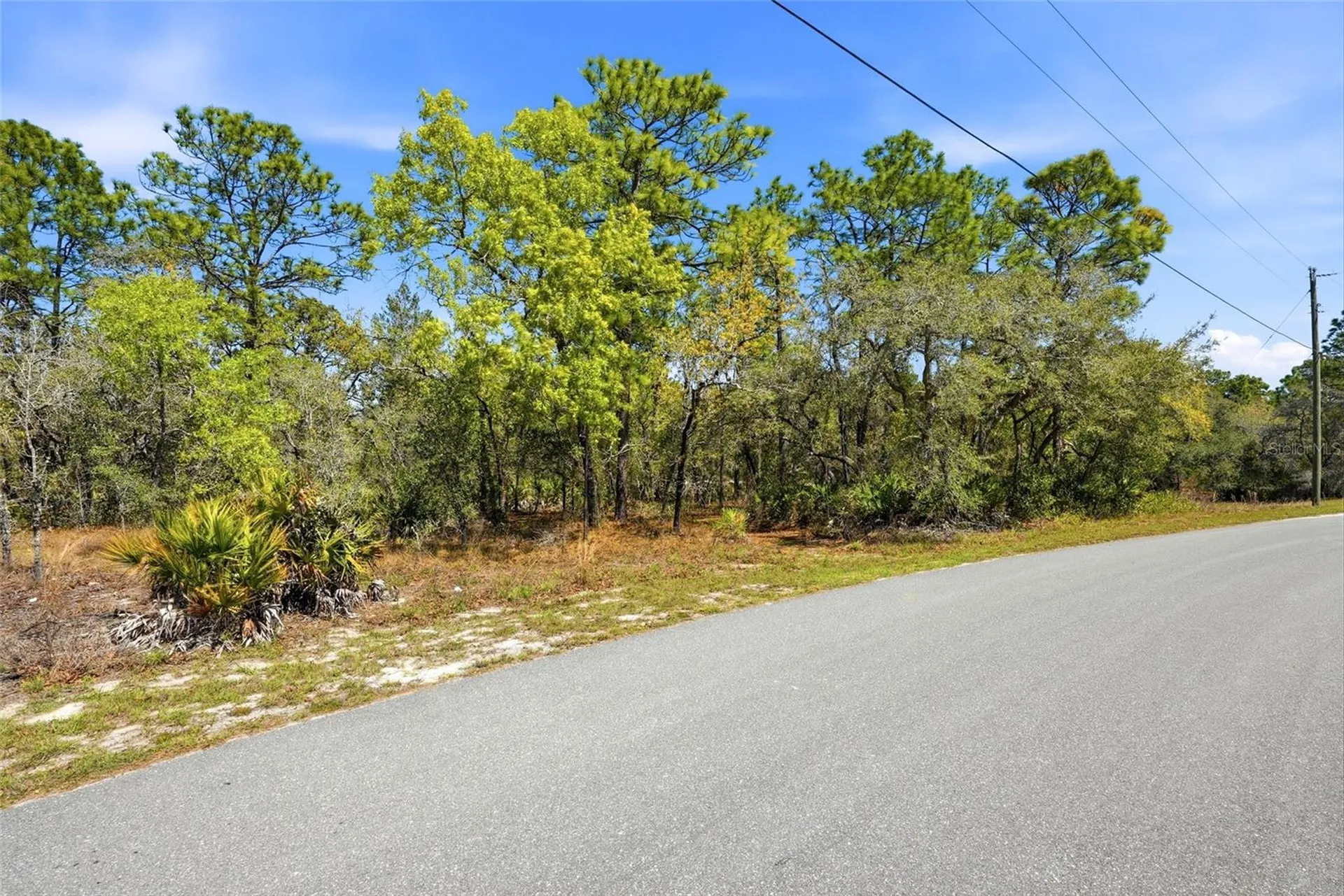 11155 Marsh Wren Avenue Weeki Wachee FL 34614
