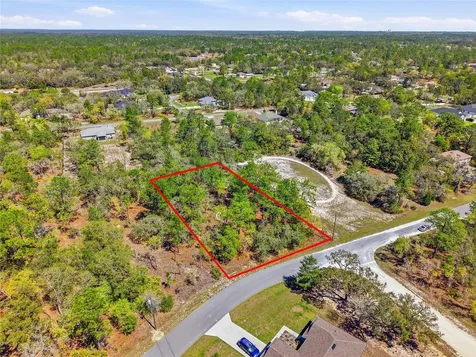 11155 Marsh Wren Avenue Weeki Wachee FL 34614