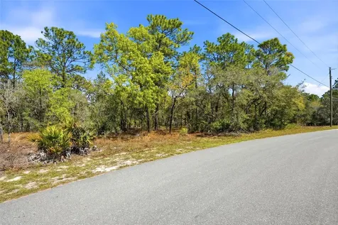 11155 Marsh Wren Avenue Weeki Wachee FL 34614