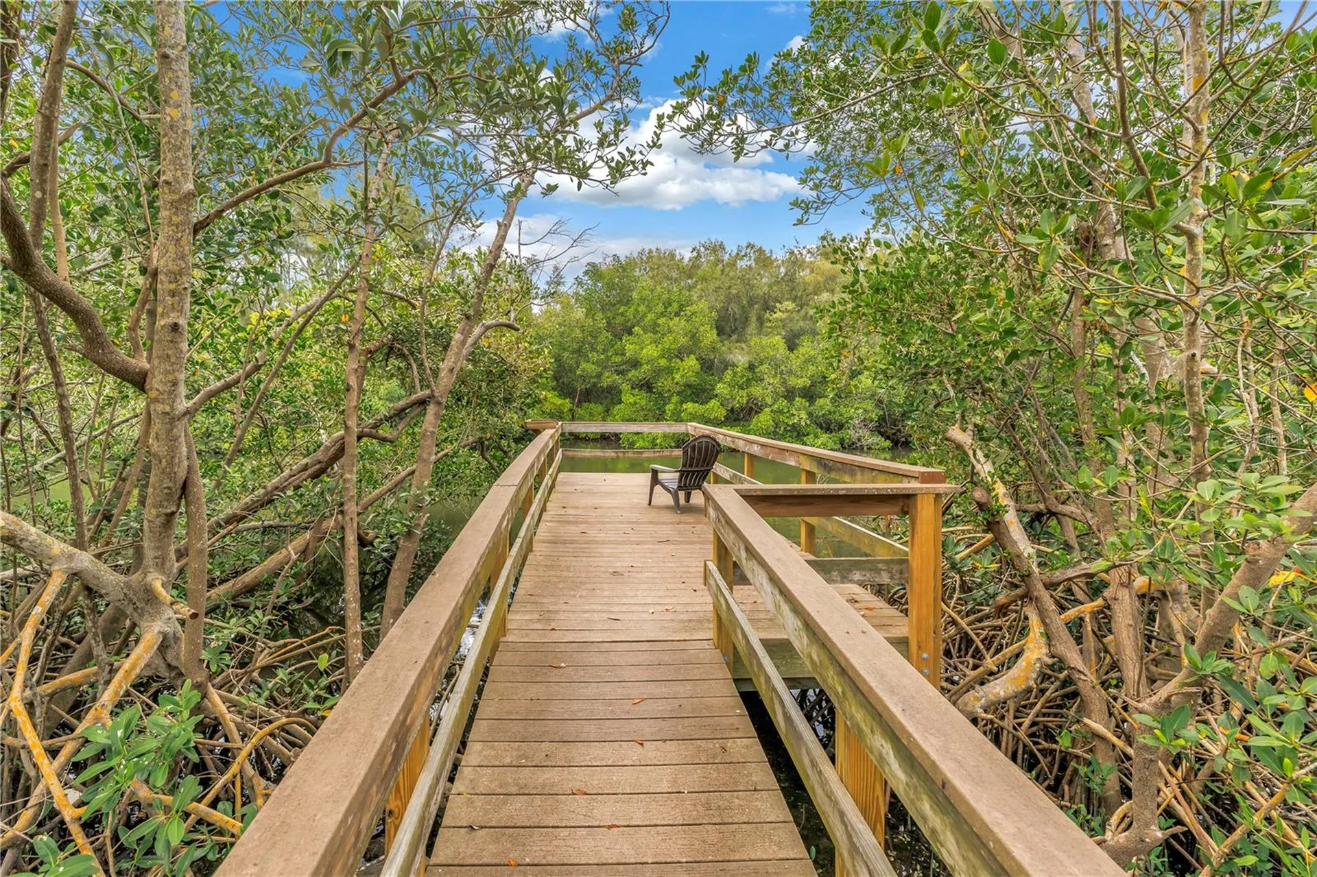 992 San Carlos Court NE St Petersburg FL 33702