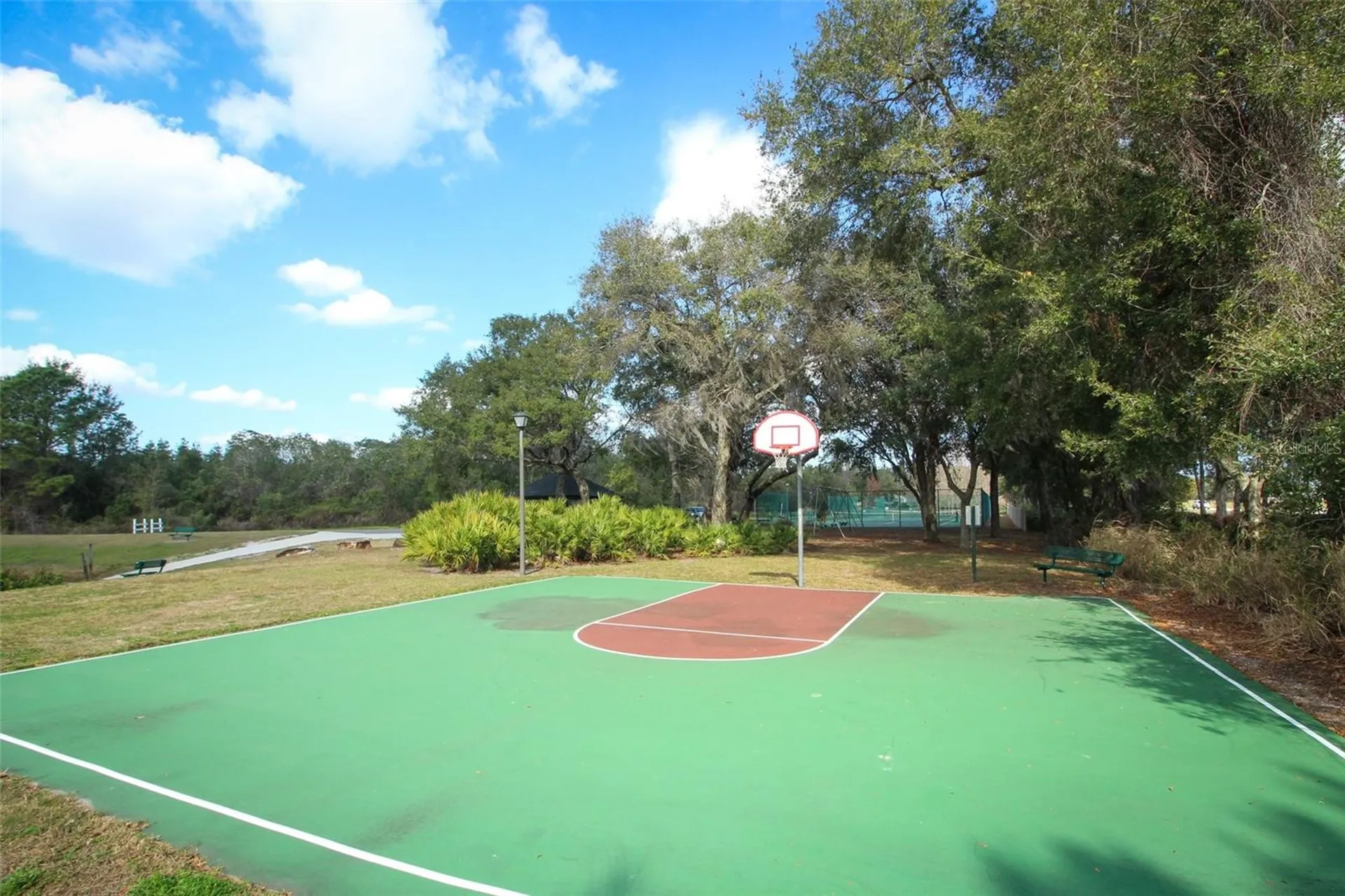 5695 Pond Pine Point Oviedo FL 32765