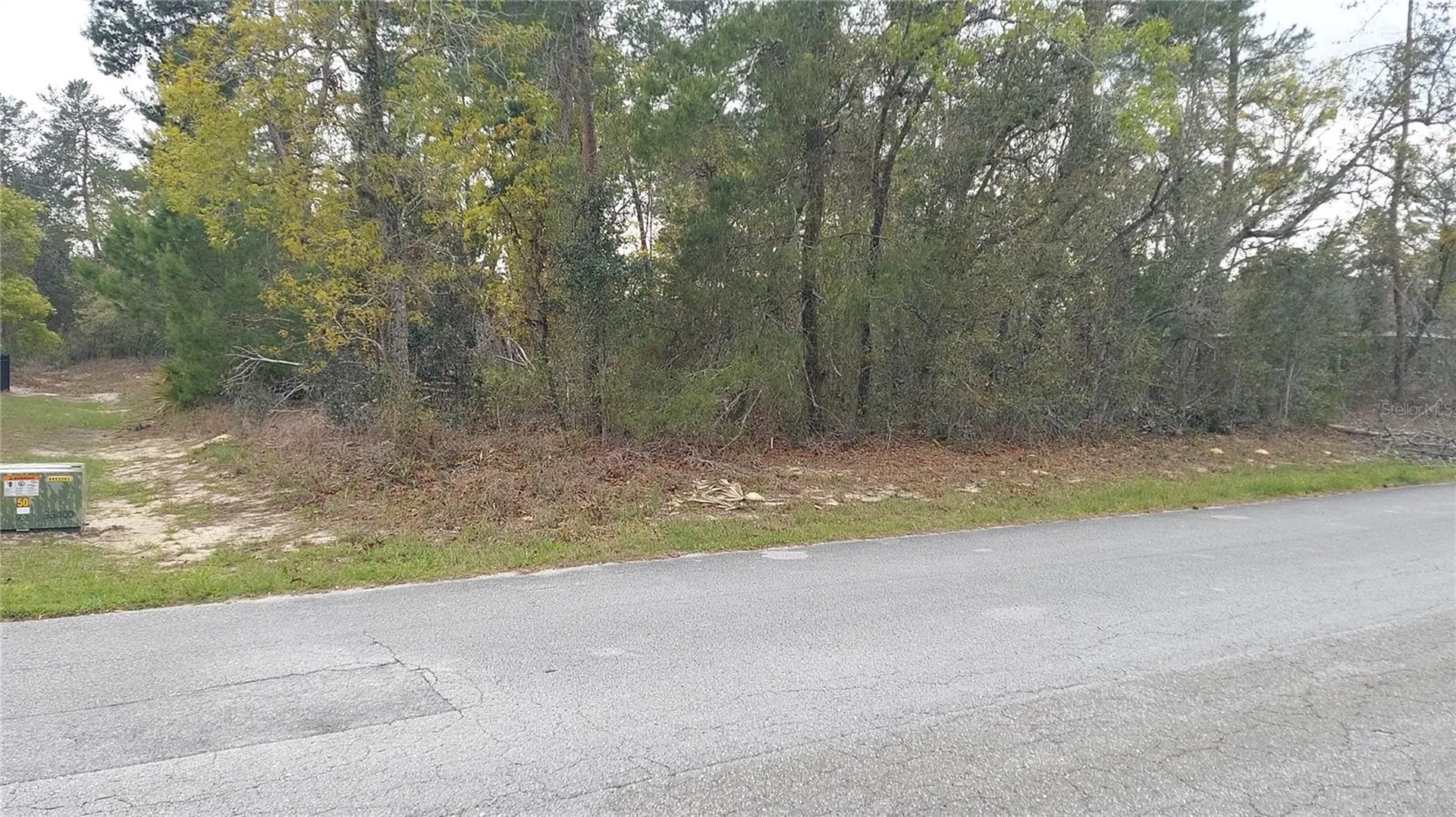 3 Tall Marigolds Ct, Homosassa FL 34446