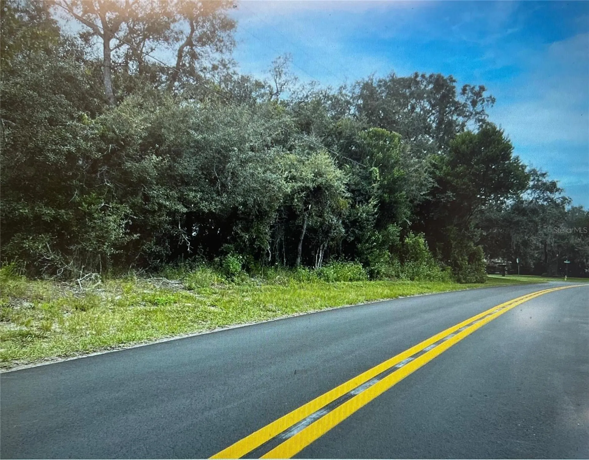 3 Tall Marigolds Ct, Homosassa FL 34446