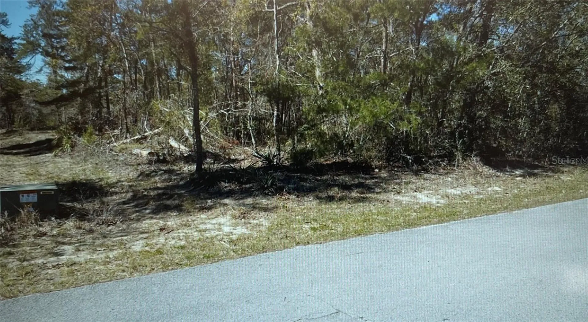 3 Tall Marigolds Ct, Homosassa FL 34446