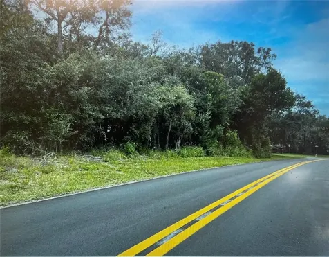 3 Tall Marigolds Ct, Homosassa FL 34446