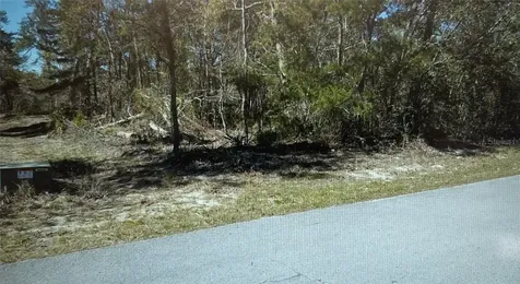 3 Tall Marigolds Ct, Homosassa FL 34446