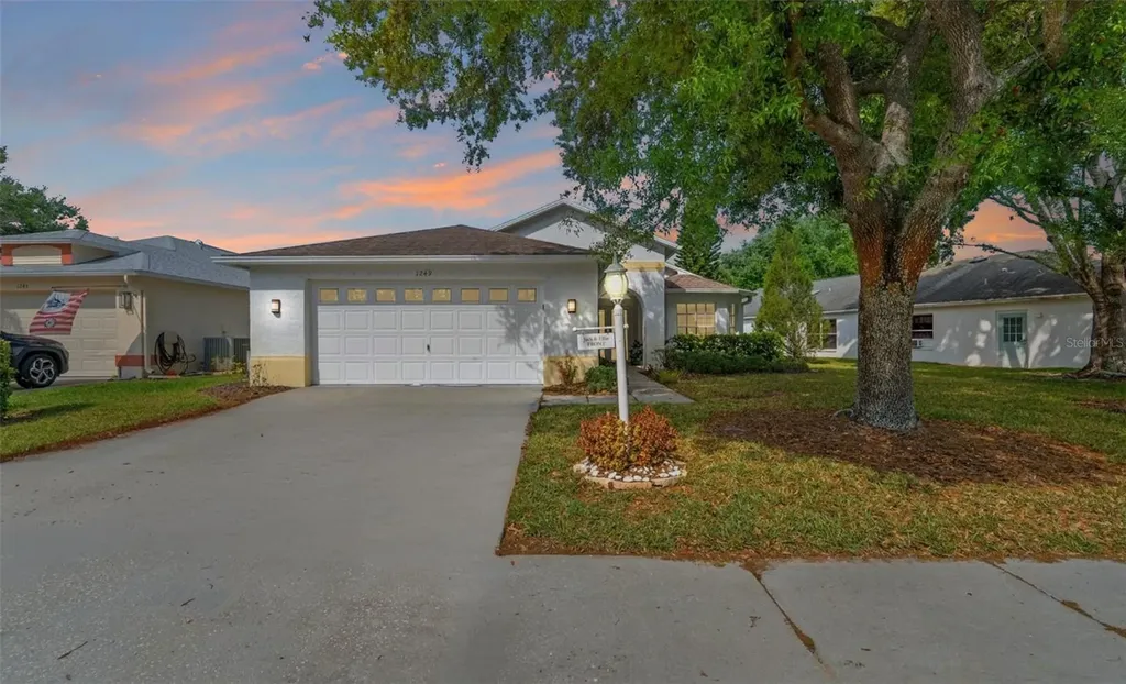 1249 Winding Willow Drive Trinity FL 34655