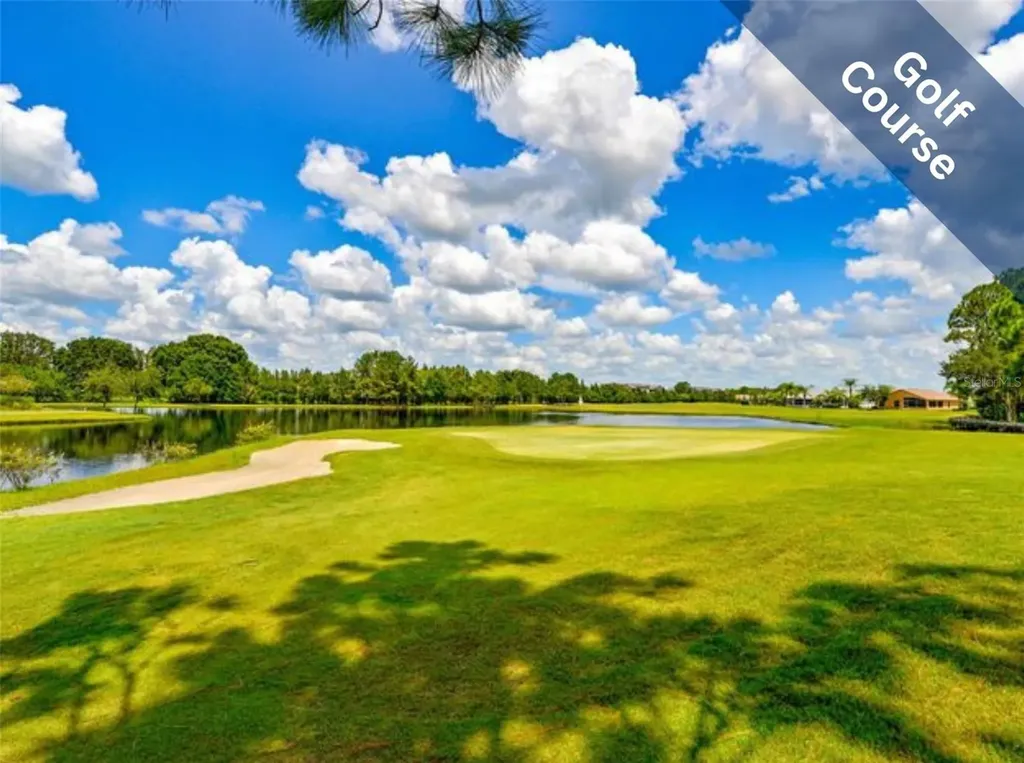 1249 Winding Willow Drive Trinity FL 34655