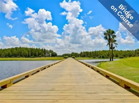 1249 Winding Willow Drive Trinity FL 34655