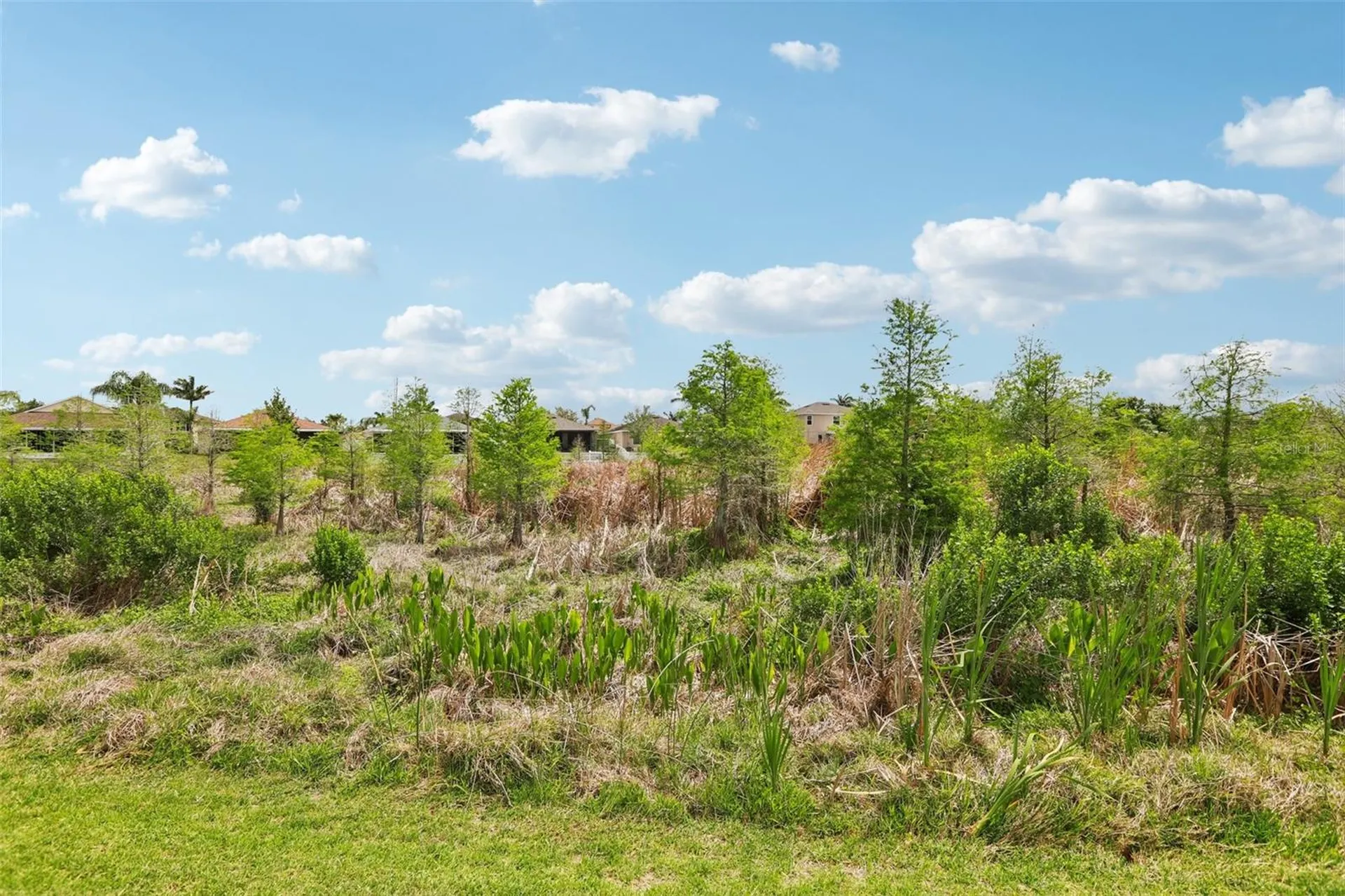 537 Vista Ridge Drive Ruskin FL 33570